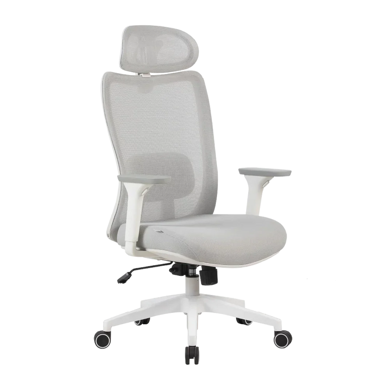 Cadeira Ergonômica Elements Astra Pro