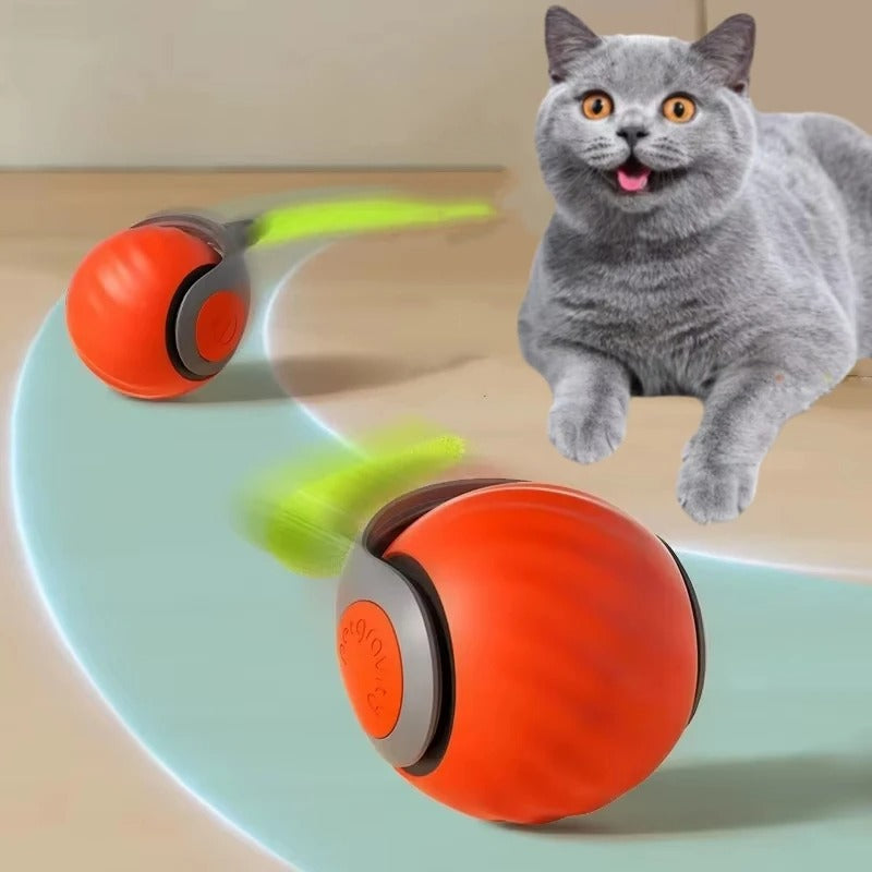 Cat Tazzy 2.0 Bigodinhos